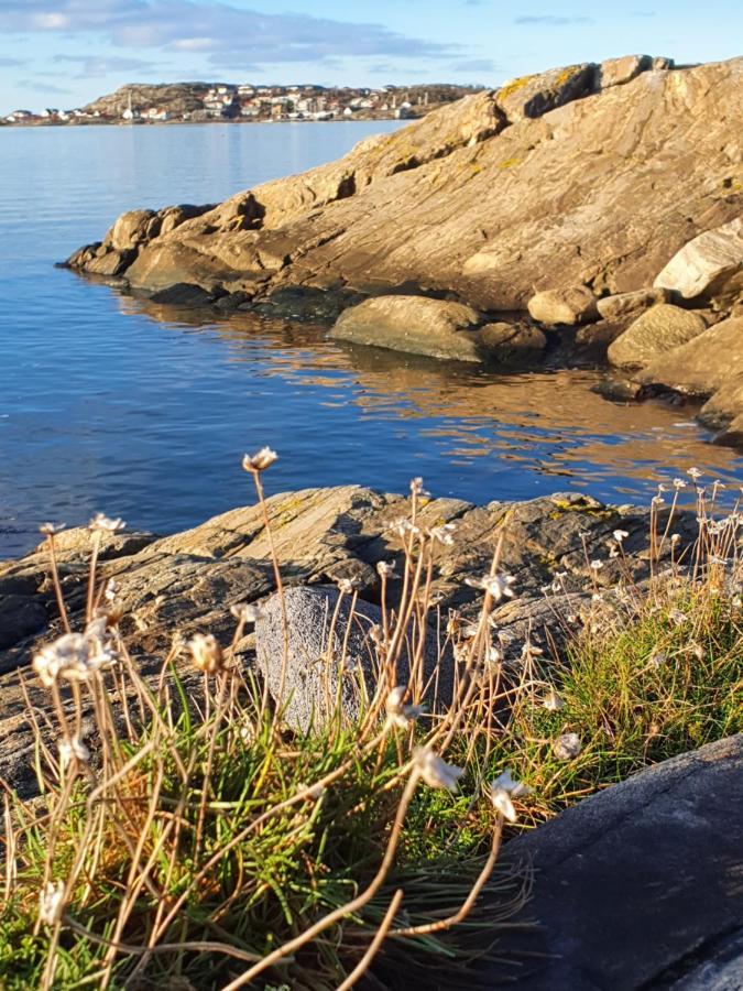 Skaergardsidyll Pa Bjoerkoe Med Gangavstand Till Havet Skarvik Ngoại thất bức ảnh